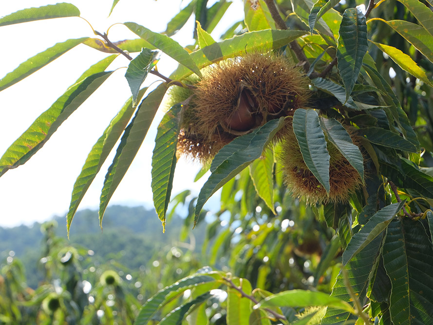 Free HTML5 Bootstrap Template by FreeHTML5.co